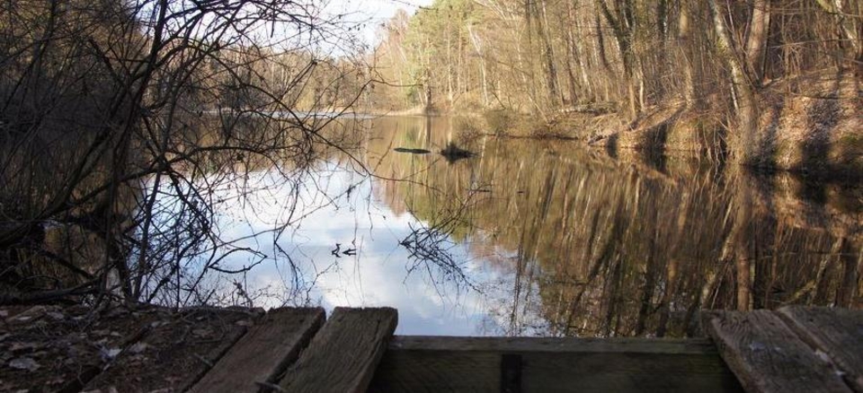 Natur pur - der kleine Tonsee