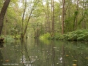 Spreewald